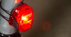 Sigma Nugget II Flash Light -KOO shop 3 fe534973 9286 4dbd bce1 d3a554037aa6