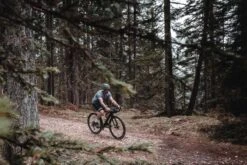 Biehler Gravel Pattern Shorts - Denim -KOO shop gravel dolomites web 089 600x600 2x 1317fb24 8c4e 46a2 9b3f d3a9e766a754