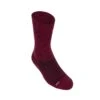 Suarez 7" Real Sock - Wine -KOO shop real wine