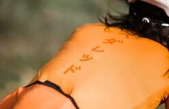 PEdALED Mirai Lightweight Women Jersey - Orange -KOO shop women cycling jersey orange back logo mirai pedaled